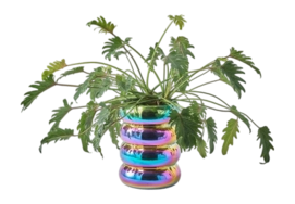 Plantpot-chubby-multi-colour_03_view-_no-bg