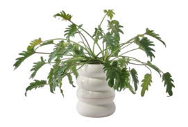 Plantpot-chubby-white_03_view-_no-bg