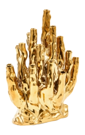 Vaas POLSPOTTEN Coral 20-Tulips Gold