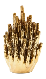 Vaas POLSPOTTEN Coral 50-Tulips Gold