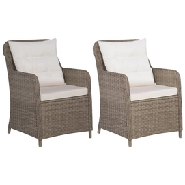 Tuinstoel Vida Met Kussen Poly Rattan Bruin (2-Delig)