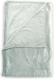 Plaid Zo! Home Cara Mint Green