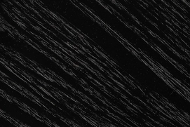 4---1200x800 (23)