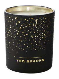 Geurkaars Ted Sparks Demi Cinnamon & Spice