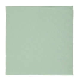 Geschirrtuch Cinderella Checkmaid Green (Set von 6 Stück)