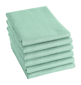 Torchon DDDDD Logo Pastel Green (Lot de 6)