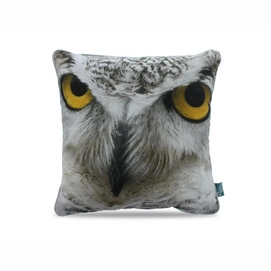 Sierkussen Intimo Owl Face Grey (45 x 45)