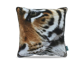 Sierkussen Intimo Tiger Multi (45 x 45)