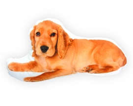 Sierkussen Intimo English Cocker Spaniel Orange (25 x 25)