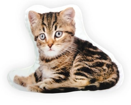 Sierkussen Intimo Bengal Kitten Brown (25 x 25)