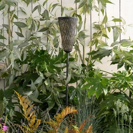 2---849571_mw_800_mh_800