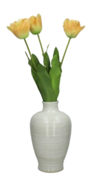 xet-4864-1-_no-bg