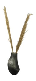 3---XET-5571-2-_no-bg