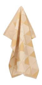 6250_O_1_01d1-_no-bg
