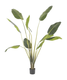 Kunstplant By-Boo Strelitzia - Medium