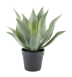 Kunstplant By-Boo Agave - Large