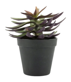 Artificial Plant By-Boo Succulent 2