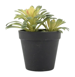 Artificial Plant By-Boo Succulent 1