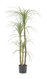 Kunstplant By-Boo Yucca stem 3