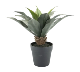 Kunstplant By-Boo Agave - Medium