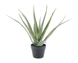 Artificial Plant By-Boo Aloe Vera