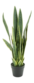Kunstplant By-Boo Sansevieria - Medium