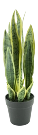 Kunstplant By-Boo Sansevieria - Small