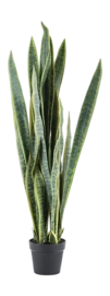 Kunstplant By-Boo Sansevieria  - Large