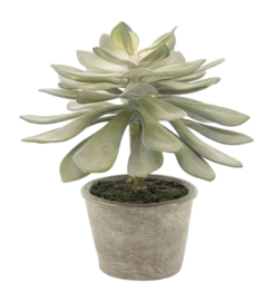 Artificial Plant By-Boo Succulent Echeveria