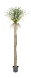 Artificial Plant By-Boo Wild Yucca Tree - Large
