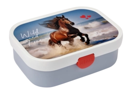 Porta pranzo bambini Mepal Campus Bento 0,75 L, Con Bentobox, Cavallo Selvaggio
