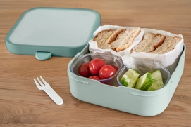 2---usp_images-1074350_usp02_bentolunchboxcampuslarge_coolmint