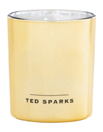 Scented Candle Ted Sparks Demi Vanilla & Cedarwood