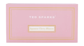 4---ted-sparks-candle-diffuser-gift-set-m-japanese-che (3)-_no-bg