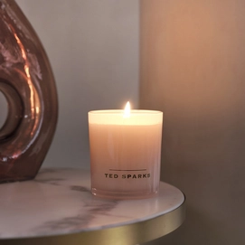 7---ted-sparks-candle-diffuser-gift-set-m-japanese-che (6)