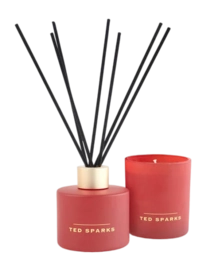 2---ted-sparks-candle-diffuser-gift-set-spiced-orange (1)-_no-bg