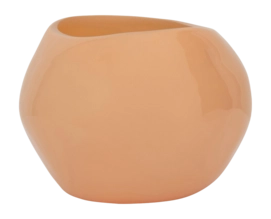 Candy Apricot Nectar 2