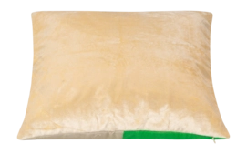 3---11562875-_no-bg