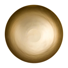 51.075.049_02-_no-bg