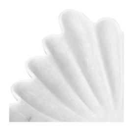 5---117563_5_1_1