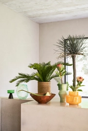 Circulo Pale Green 3