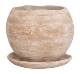 Flower Pot Urban Nature Culture Terra Natural