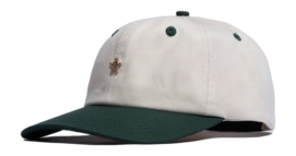 2---GoldLemon_BeigeGreen_Back_667821b9-daa2-4341-8971-956c9ac437f7-_no-bg