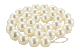 52.110.521_02-_no-bg