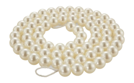 52.110.522_02-_no-bg