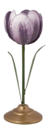 51.092.124_03_lr-_no-bg