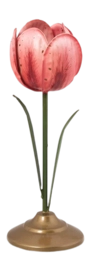 51.092.126_03_lr-_no-bg