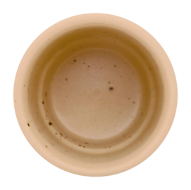 3---52.002.164_05-_no-bg