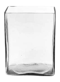 Vaas vtwonen Glass Clear Square 10 x 12 x 15 cm