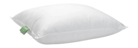 3---eendenveren-eendendons_puntkussen_3_1_4-_no-bg
